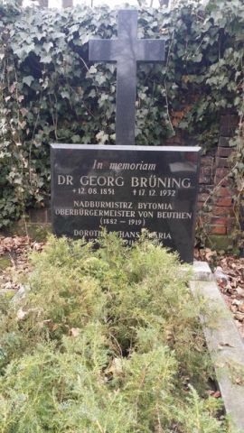 Georg Brüning <br />(1851-1932)