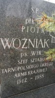 Piotr Woźniak 